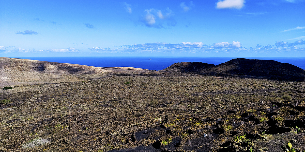 vistas en ruta ciclista lanzarote