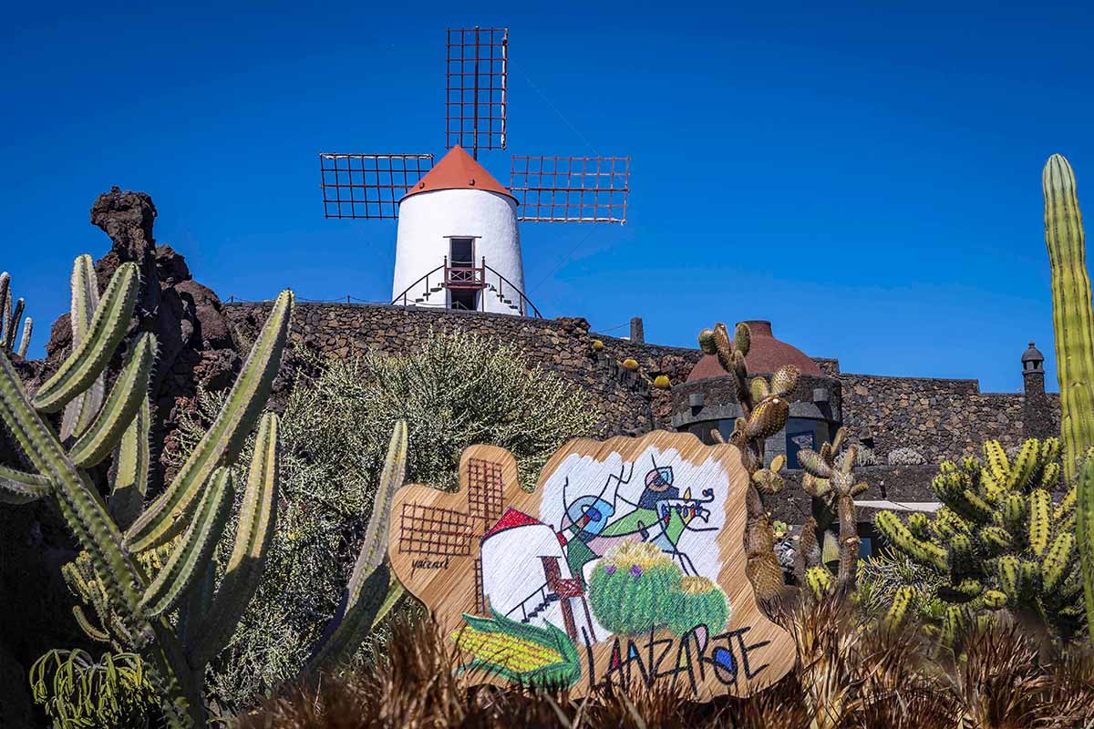 imán arte y cultura jardin de cactus