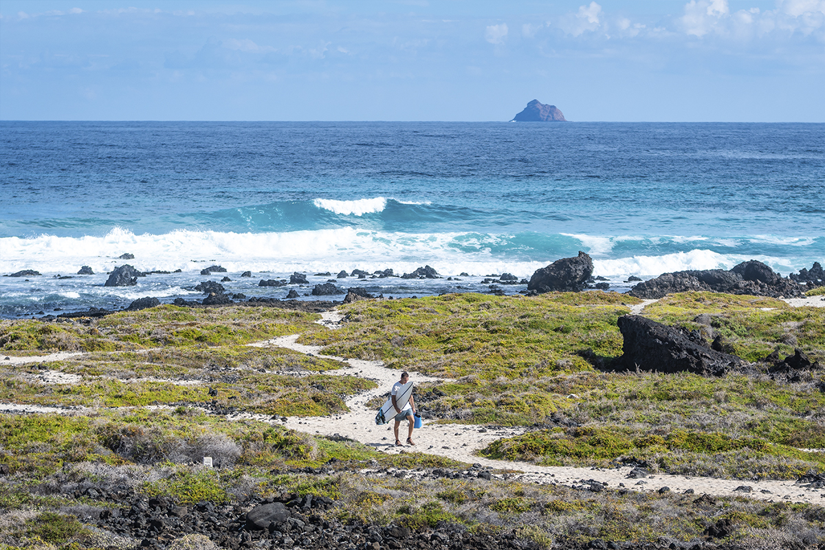 surf back beach lanzarote - Yaizart