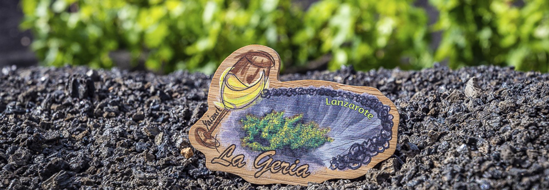 Ruta del vino en La Geria. Guía de turismo y planazos en Lanzarote.