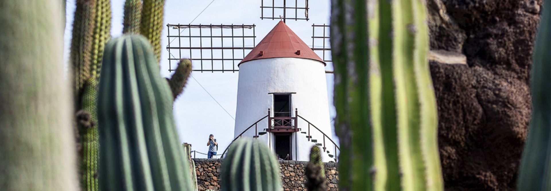 Visit to the Cactus Garden. Tourism Guide in Lanzarote.