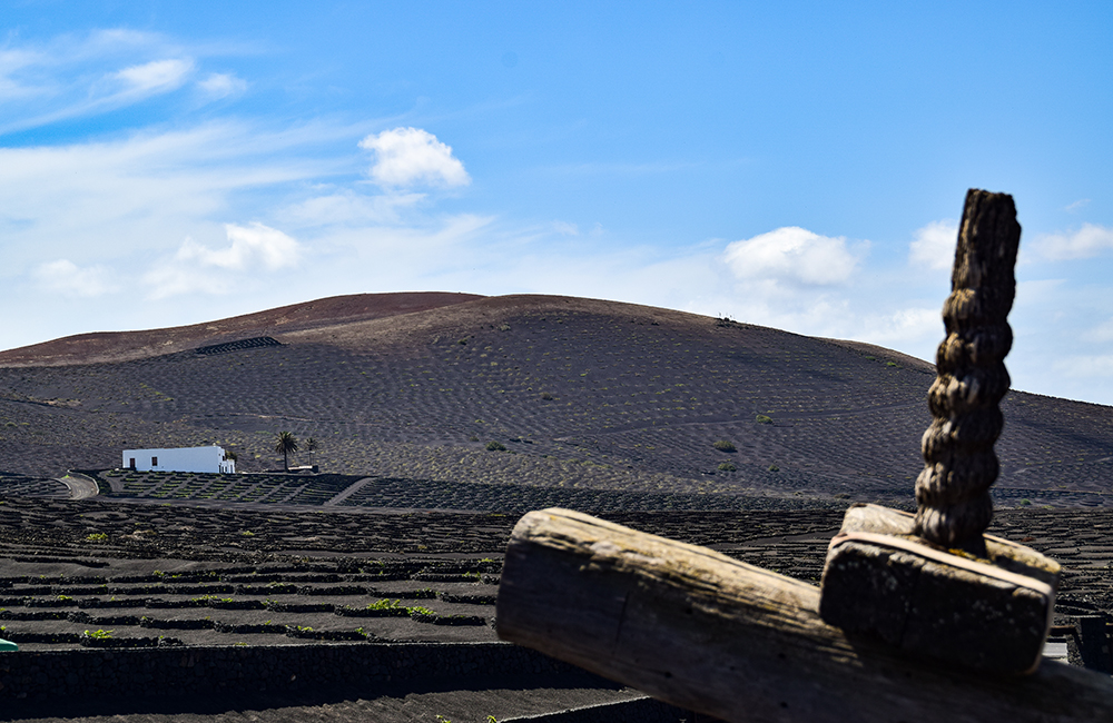 Art and culture of wine in Lanzarote