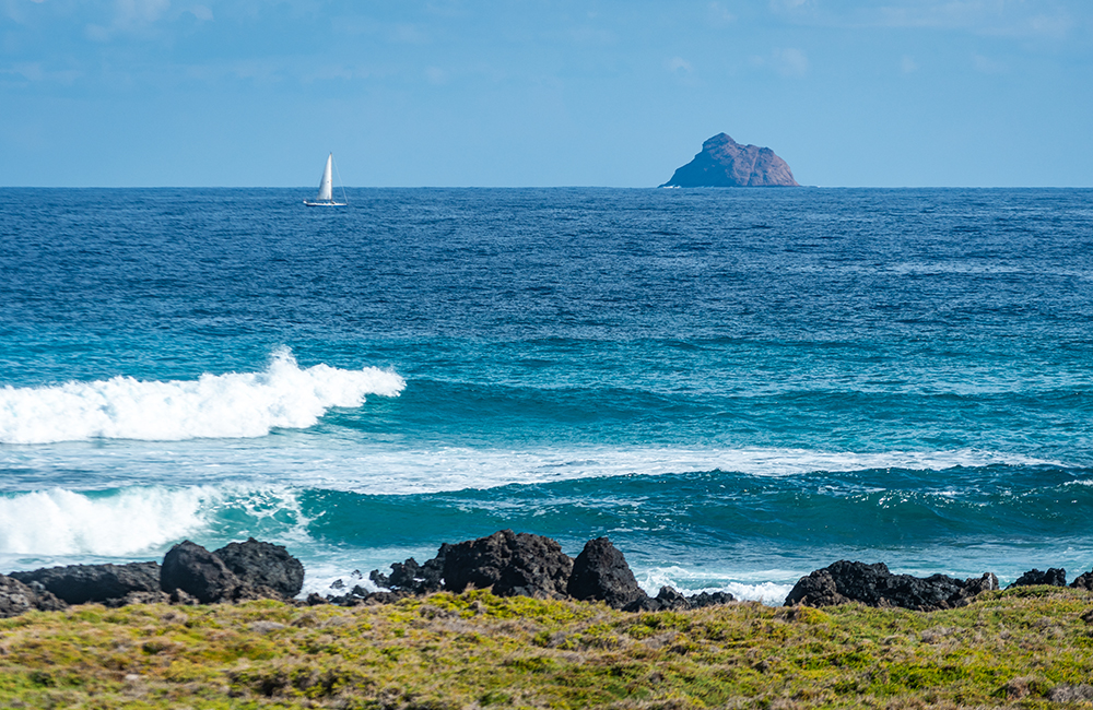 Jameos del Agua coastline