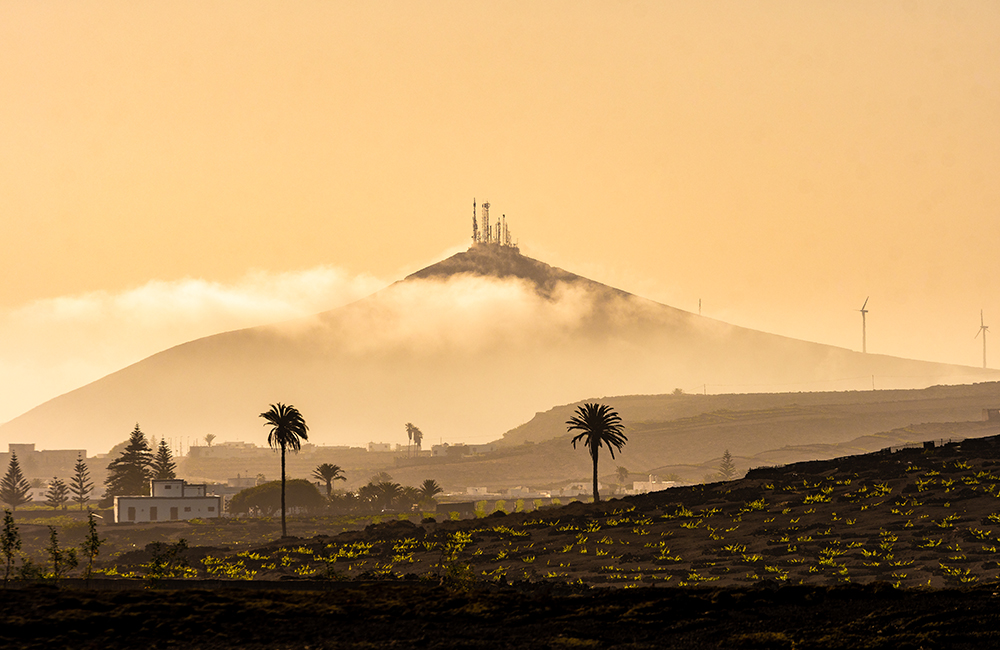 La Geria at sunset