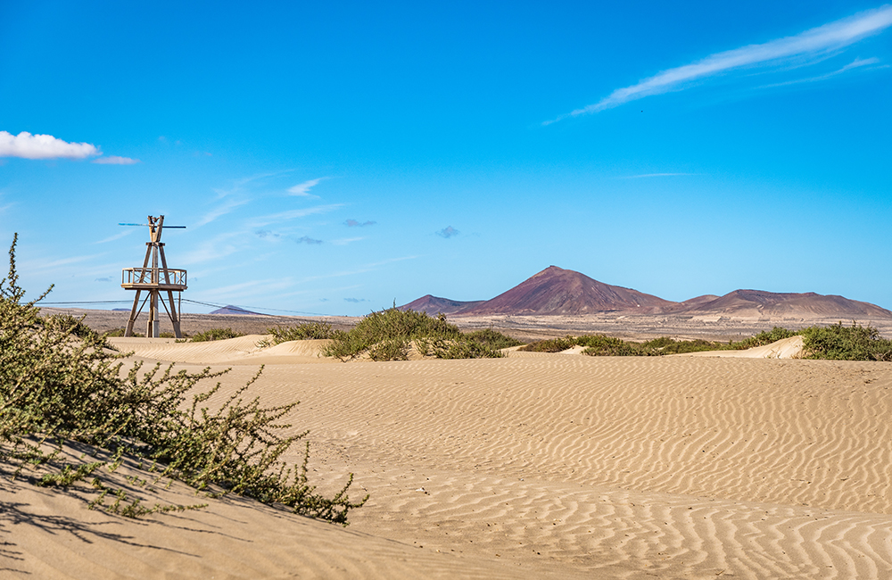 Famara mill between dunes