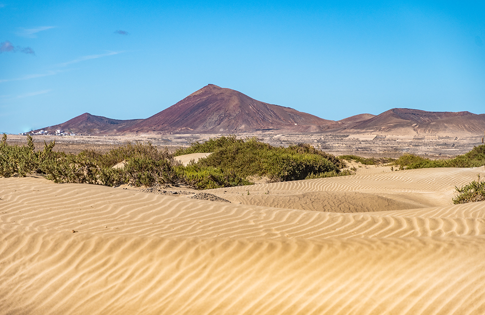 Soo town from Famara dunes