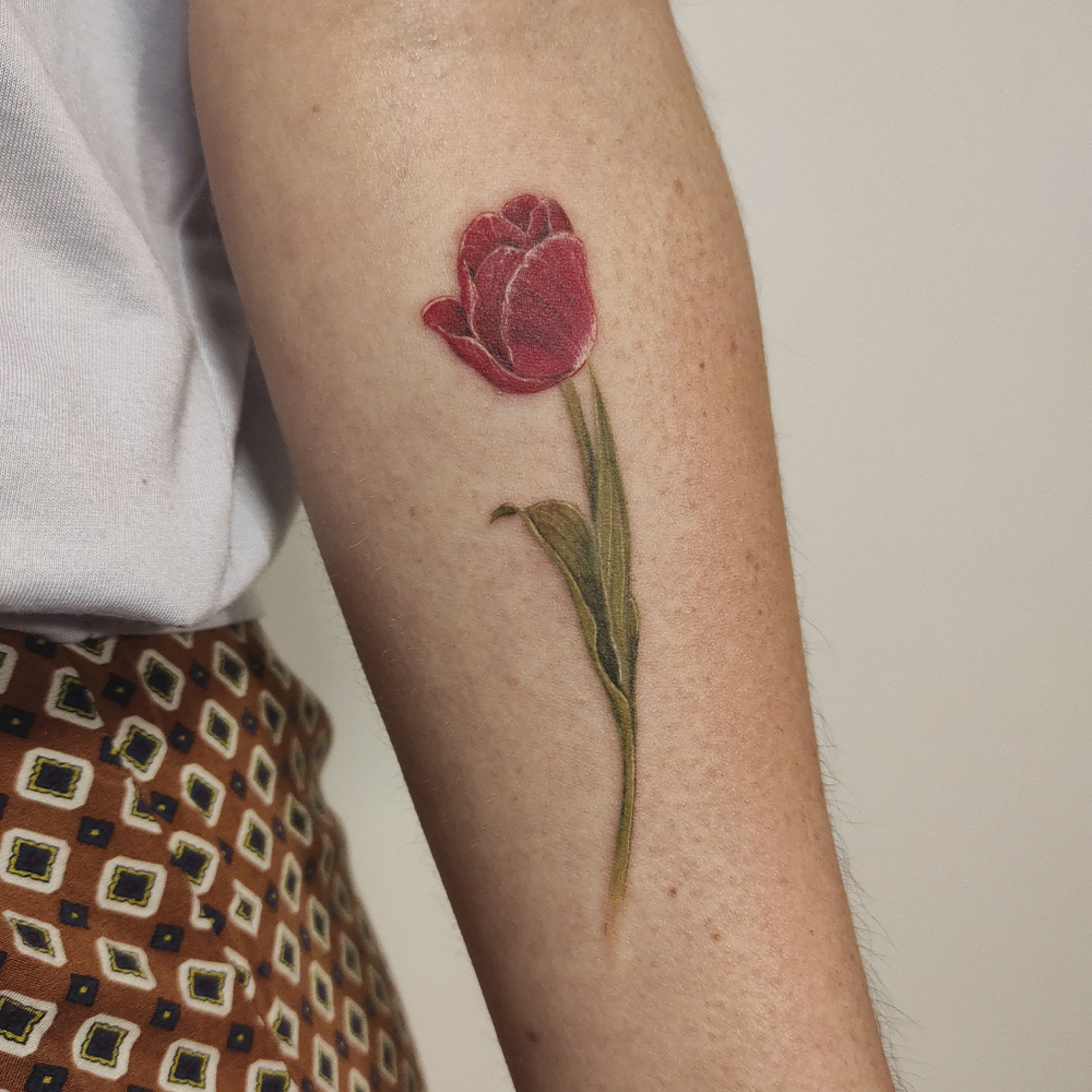 Tulip