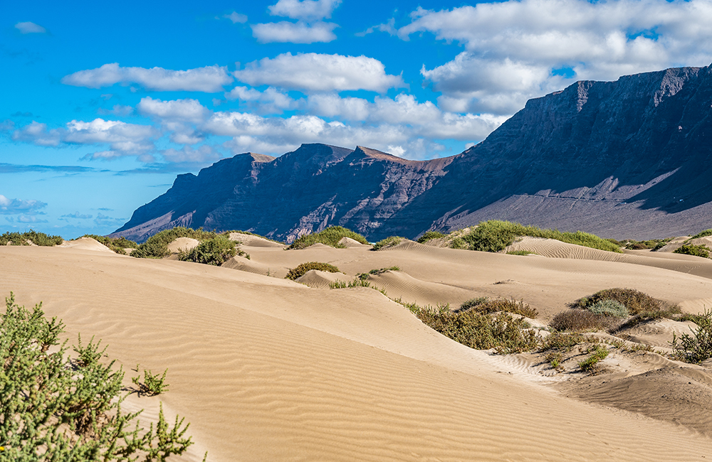 Vista al risco de Famara desde las dunas