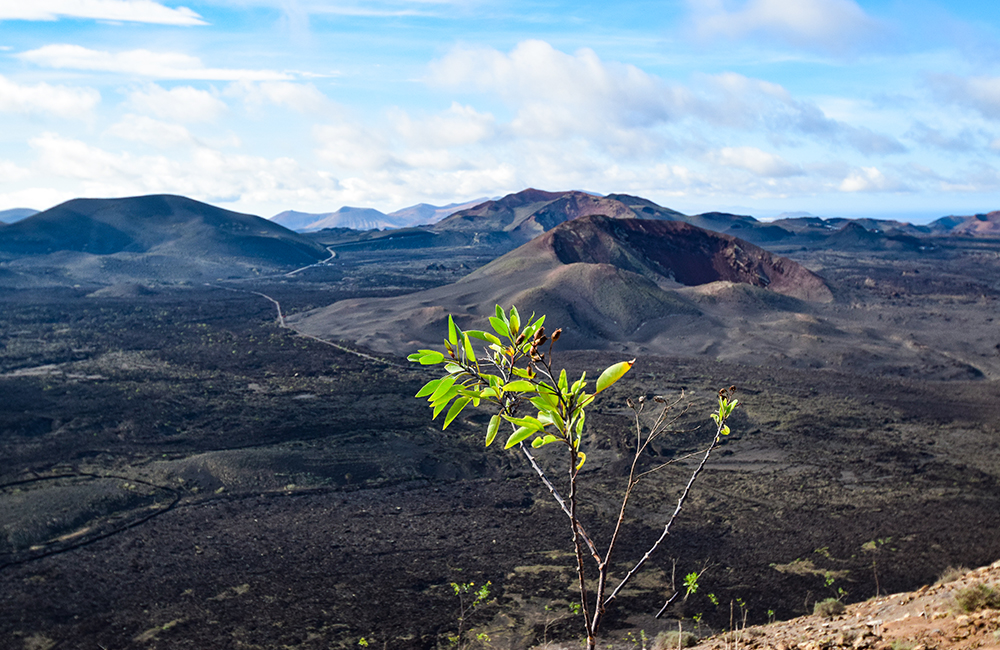 View of volcanoes from Caldera Blanca