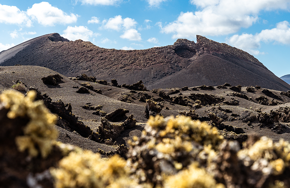 Volcán y liquen