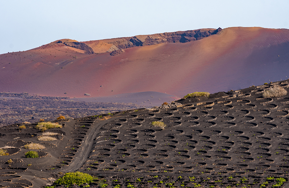 Volcanoes in la Geria